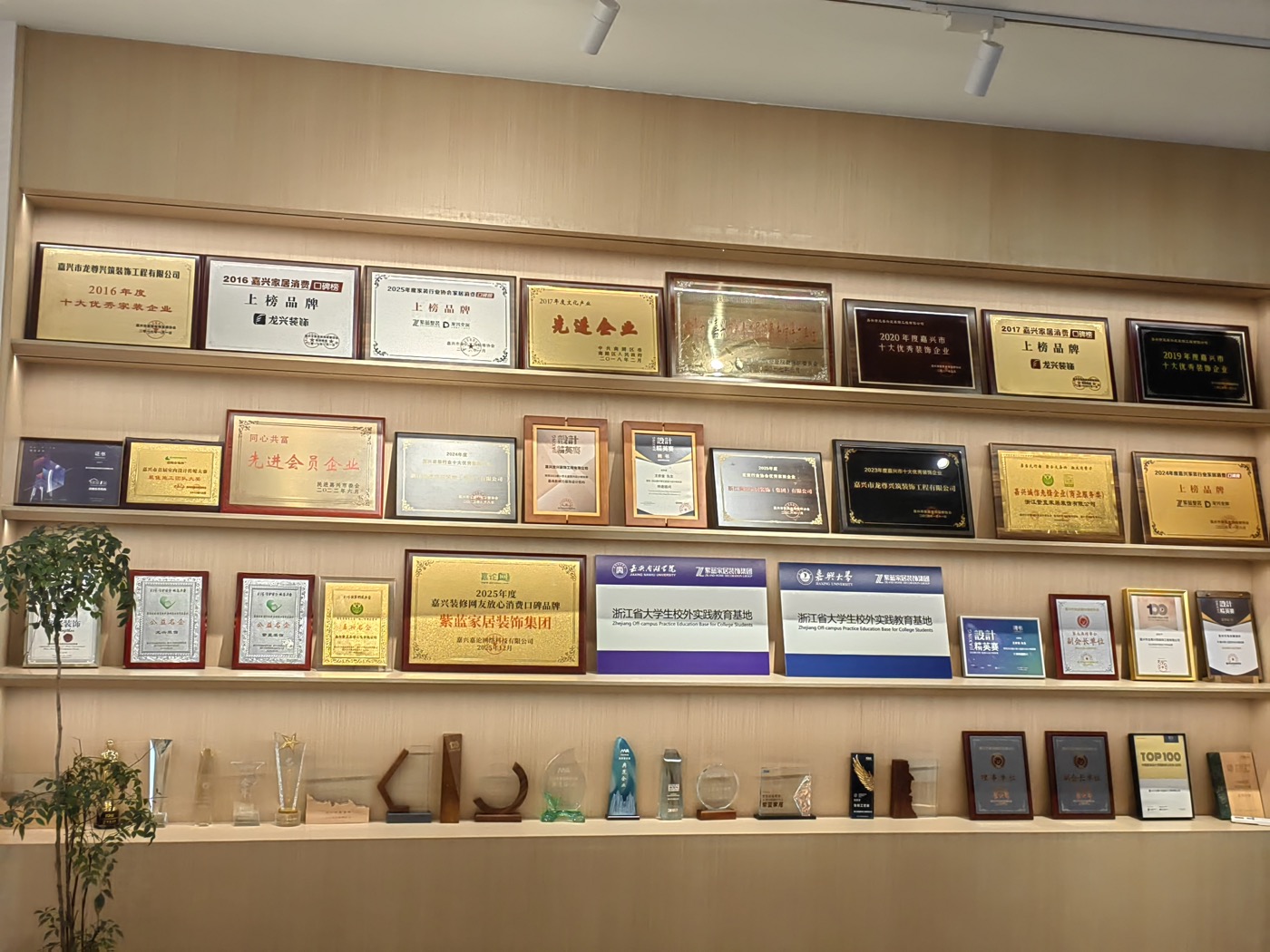 紫蓝品牌历史荣誉陈列墙